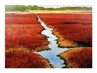 Struna Galleries of Brewster and Chatham, Cape Cod Giclee Reproductions  - Purchase this Bog - Early Spring Online!
